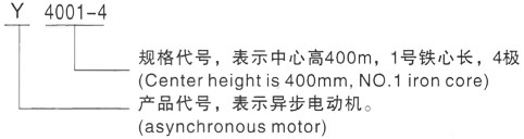 西安泰富西玛Y系列(H355-1000)高压高原电机三相异步电机型号说明