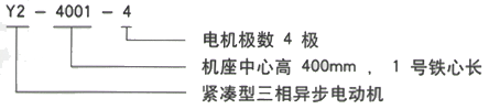 YR系列(H355-1000)高压高原电机三相异步电机西安西玛电机型号说明